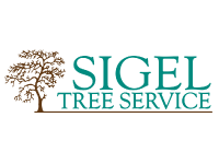 Mark Sigel Tree Service